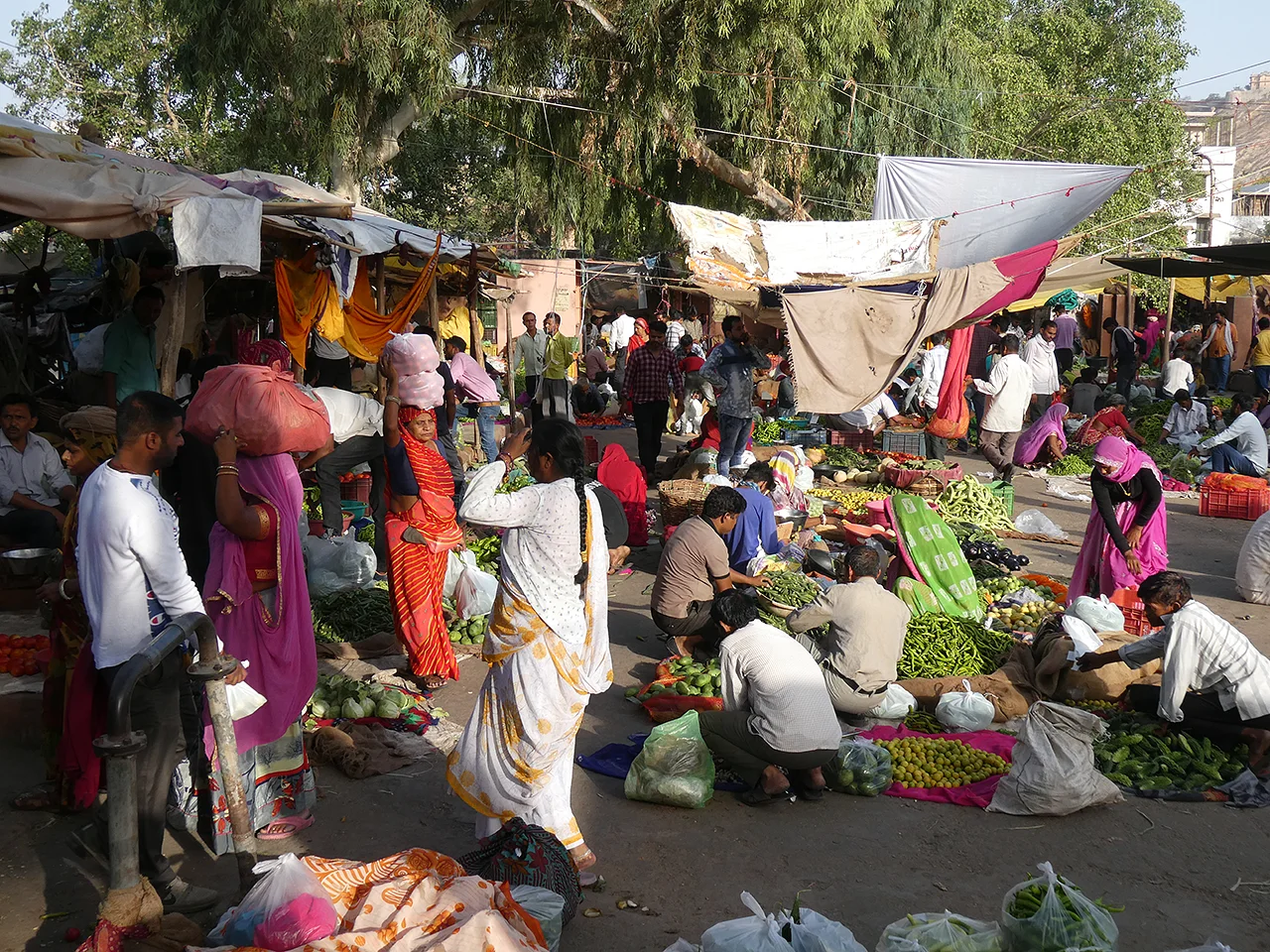 Scene of Jaipur Vegetables Market
