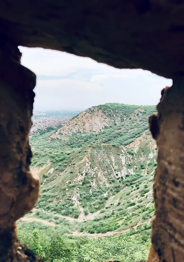 Nature Photography